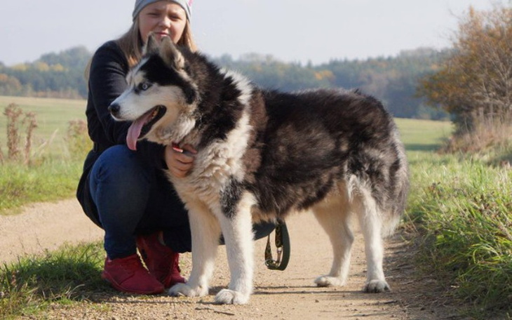 Zbiórka Polar, pies który widzi - zdjęcie główne