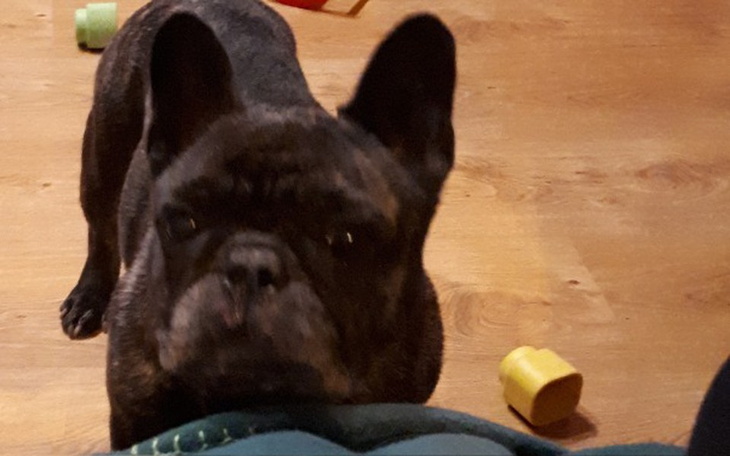 Zbiórka Buldożki - zdjęcie główne