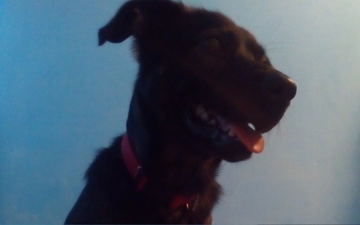 Zbiórka Na poprawę jakości życia - zdjęcie główne