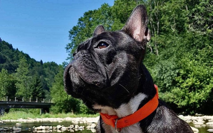 Zbiórka Operacja Brega - zdjęcie główne