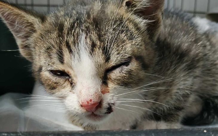 Zbiórka Zdrapany z autostrady - zdjęcie główne