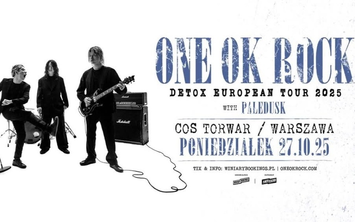 Widok na zniszczoną posesję, pozostałości po budynku.