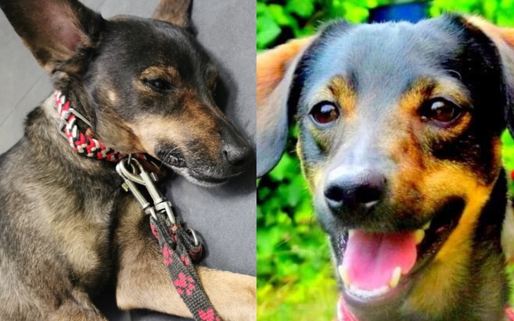 Zbiórka Riko walka z chloniakiem - zdjęcie główne