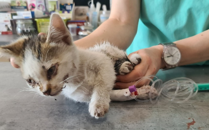 Zbiórka Malutka Anusia walczy o życie. - zdjęcie główne