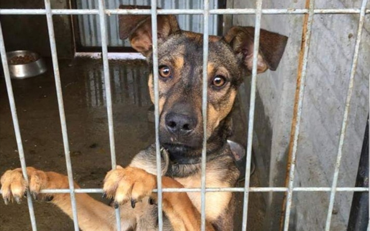 Zbiórka Wesprzyj w walce z bezdomnością - zdjęcie główne