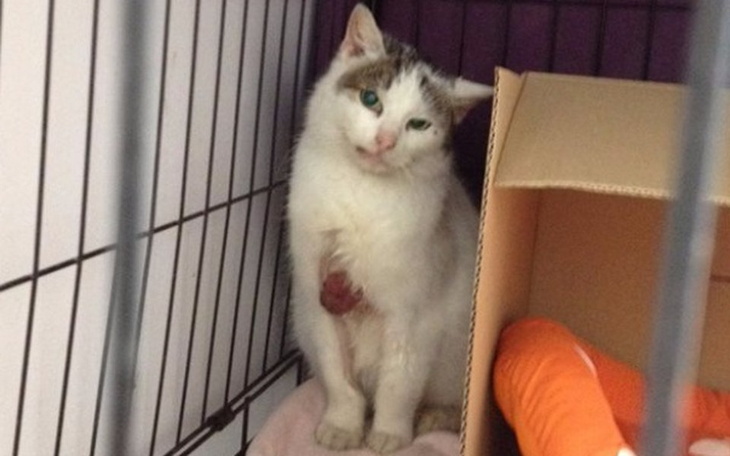 Zbiórka Rak to nie wyrok śmierci... - zdjęcie główne