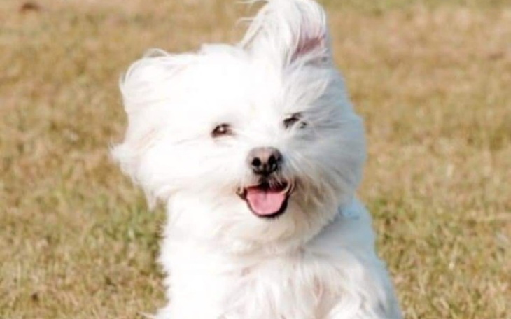 Zbiórka Podziękowanie Dla ukochanej - zdjęcie główne