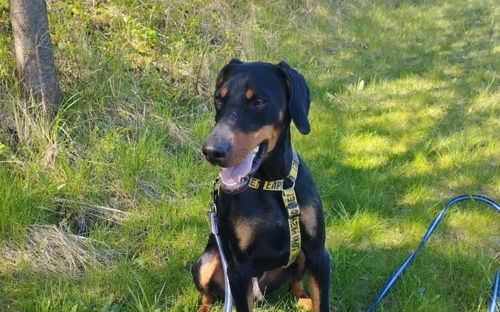 Zbiórka Bym mógł znów biegać - zdjęcie główne