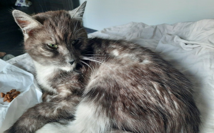 Kobieta w hamaku, uśmiechnięta, w otoczeniu natury.