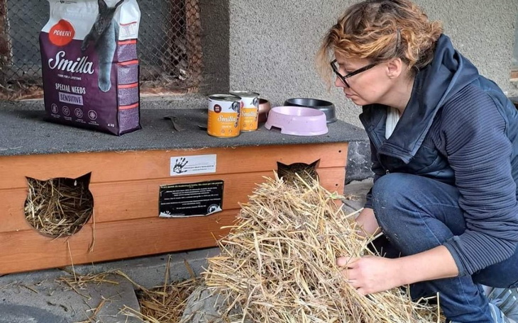Zbiórka Ełckim bezdomniaczkom na pomoc - zdjęcie główne