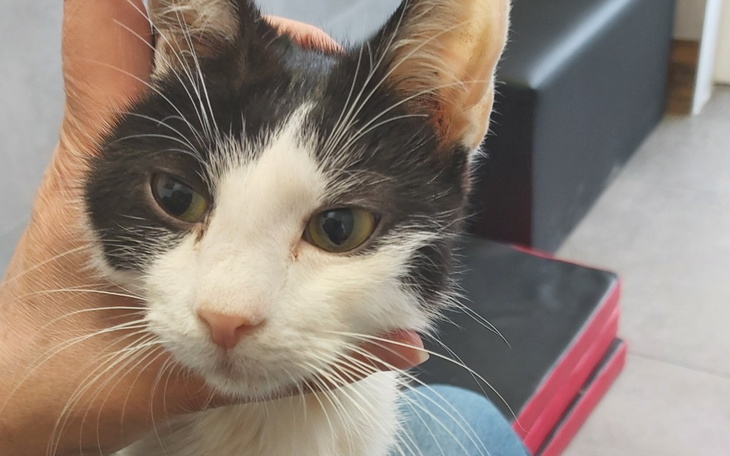 Zbiórka Sprite bardzo chory chce żyć - zdjęcie główne