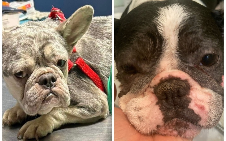 Zbiórka 5 lat w obozie pracy - zdjęcie główne