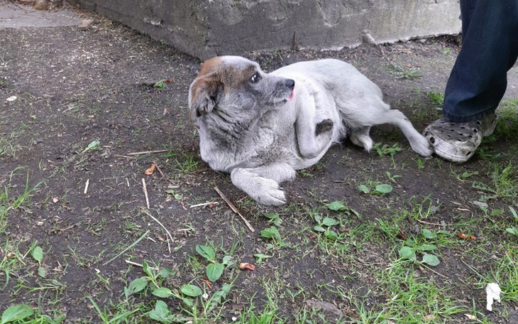 Zbiórka Po nowe życie - zdjęcie główne