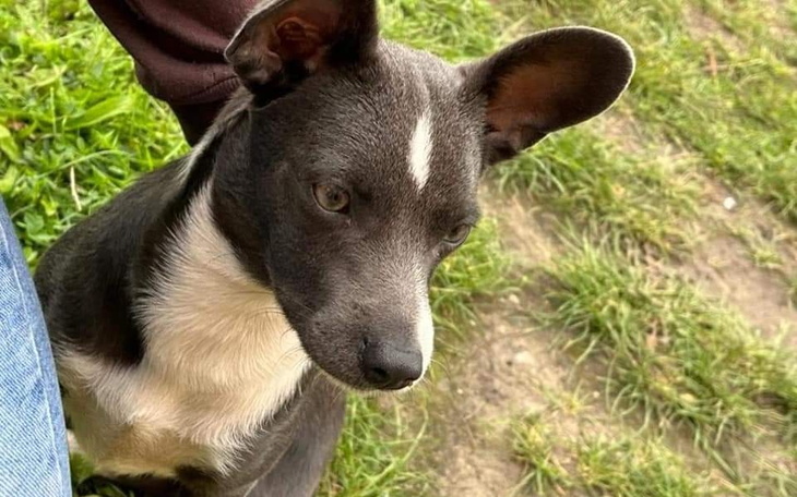 Zbiórka Nowy start malucha - zdjęcie główne