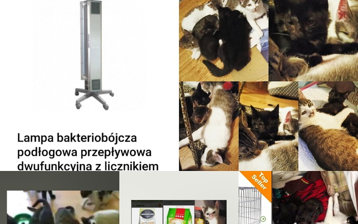 Zbiórka Lampa przepływowa bezdomniaczków - zdjęcie główne