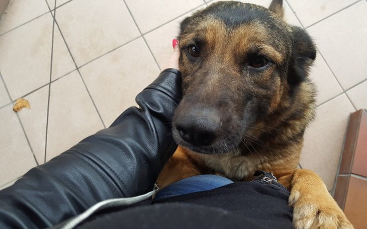 Zbiórka Uciekla przed Radysami - zdjęcie główne