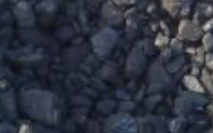 Zbiórka Wegiel na zime - zdjęcie główne