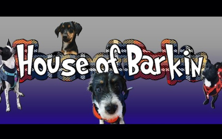 Zbiórka Zbiórka na nową fundację - zdjęcie główne