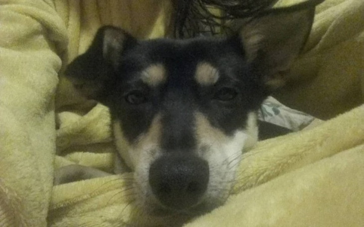 Zbiórka Operacja Atosa - zdjęcie główne