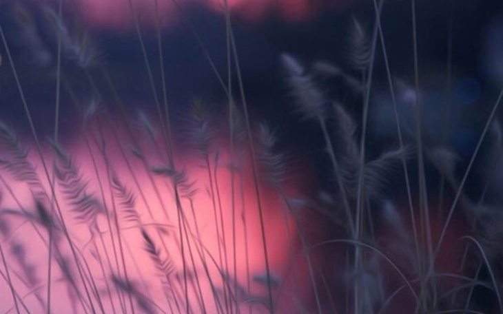 Zbiórka Rozwój fanage FunVidz - zdjęcie główne