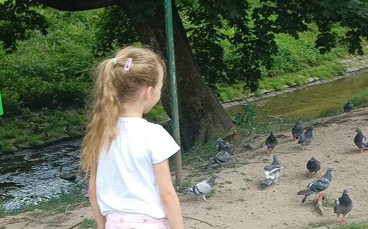 Zbiórka Minecraft dla siostry - zdjęcie główne