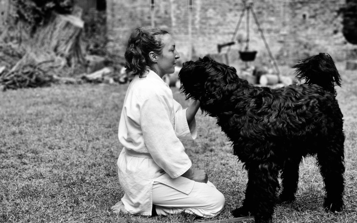 Zbiórka Aikidocy dla zwierzaków - zdjęcie główne