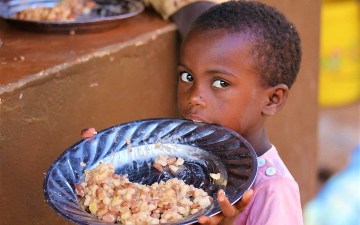 Zbiórka Sad Nadziei - zdjęcie główne