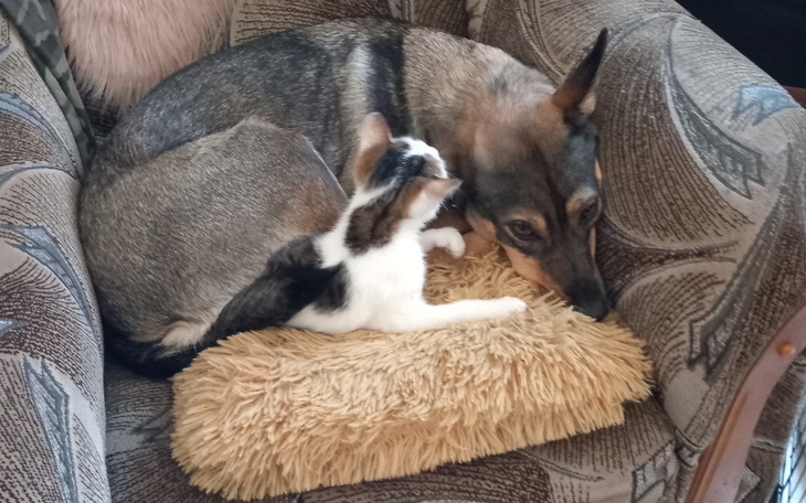 Zbiórka Brakujące środki ... - zdjęcie główne