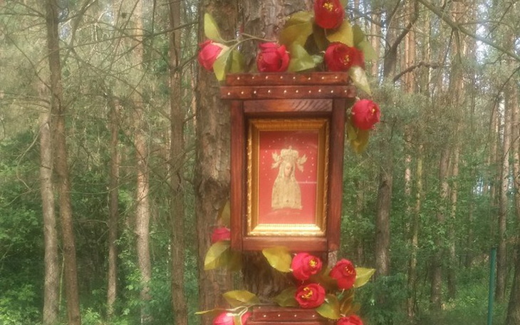 Zbiórka Ogród Maryjny - zdjęcie główne