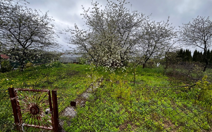 Zbiórka Na altankę - zdjęcie główne