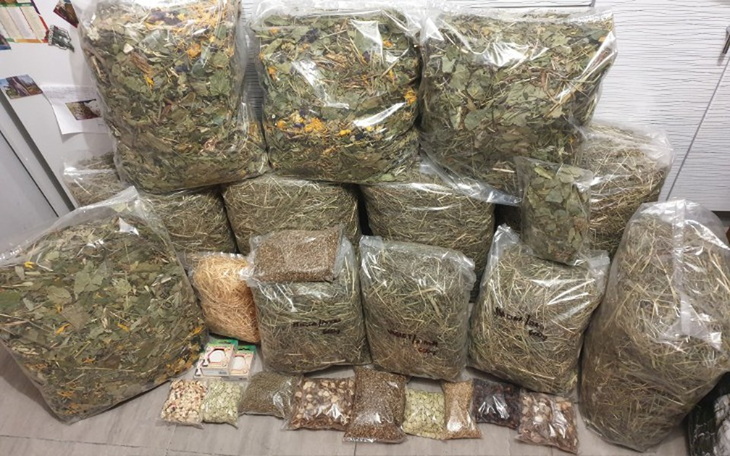 Zbiórka Zakupy jedzenia dla DT u Aruru - zdjęcie główne