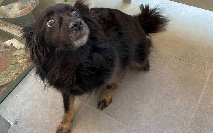 Zbiórka Hope potrzebuje pilnie rezonansu - zdjęcie główne