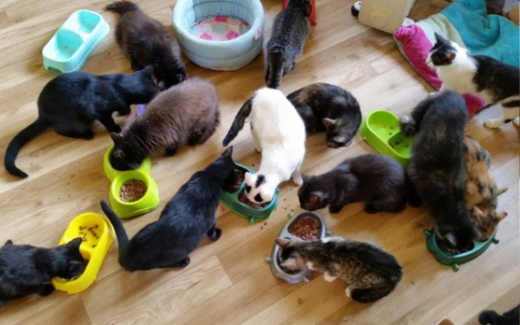 Zbiórka Pomóż im przetrwać zimę - zdjęcie główne