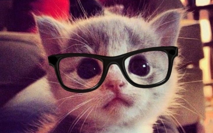 Zbiórka pomoc 14 letniej dziewczynce - zdjęcie główne