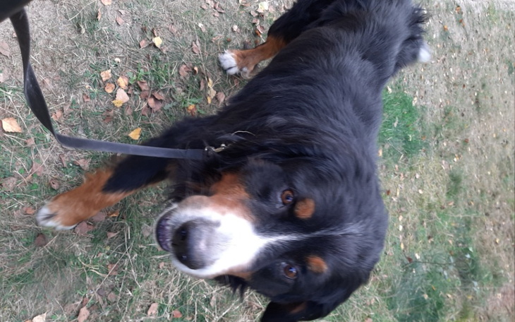 Zbiórka Dla Benia - zdjęcie główne