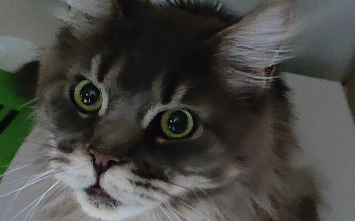 Zbiórka Chora Tosia prosi o pomoc - zdjęcie główne