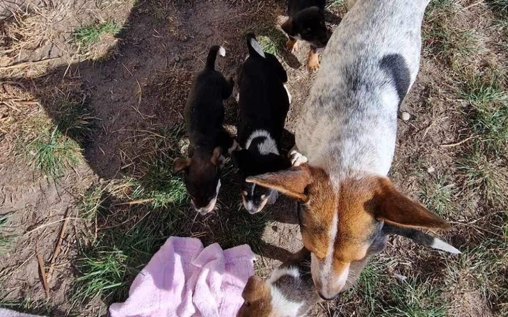 Zbiórka Mama i 6 dzieci - zdjęcie główne