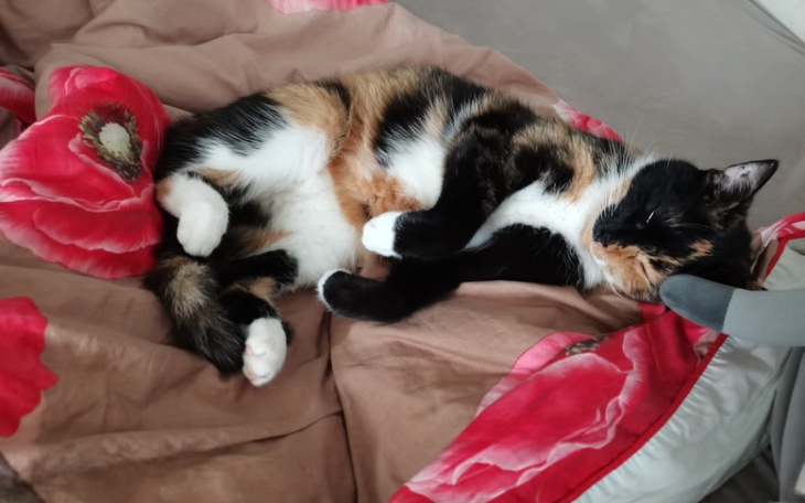 Zbiórka Wyjście na prostą po długach - zdjęcie główne