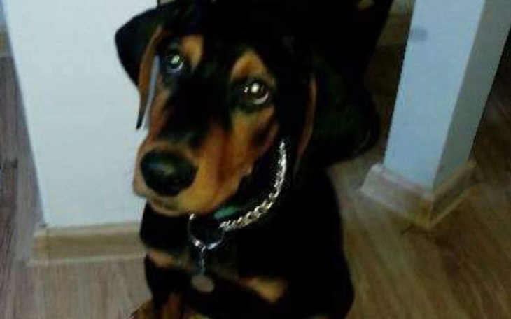 Zbiórka Pomoc dla Pana Dariusza - zdjęcie główne