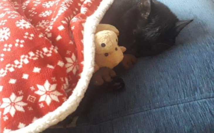 Zbiórka Zbieram na marzenie dla mamy - zdjęcie główne