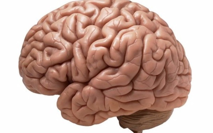 Zbiórka Na mózg dla kolegów - zdjęcie główne