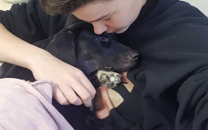 Zbiórka Psie dziecko i wyrok eutanazji - zdjęcie główne