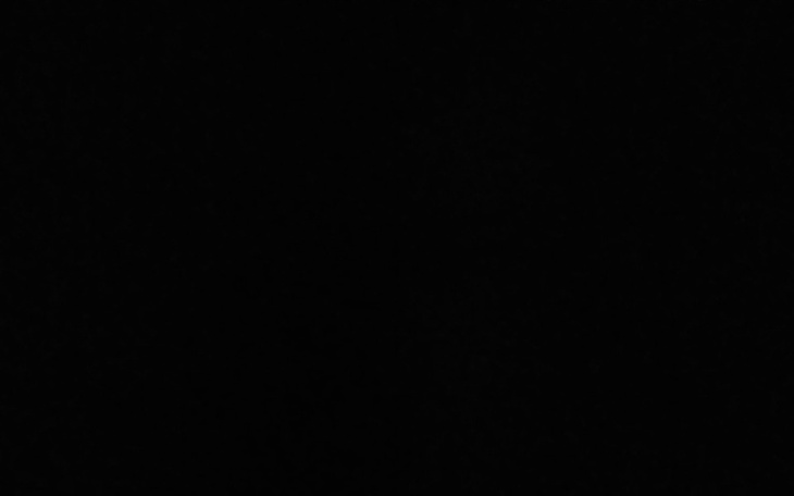 Zbiórka Moj pies ma raka na operację - zdjęcie główne