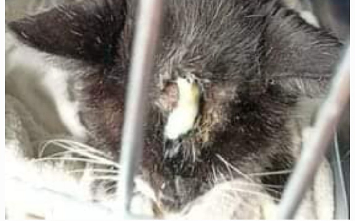 Zbiórka Nie pozwól nam się poddać - zdjęcie główne