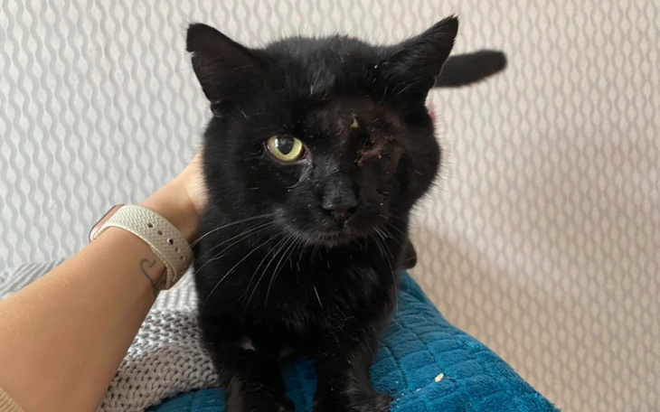 Zbiórka Ratunek dla Jacusia - zdjęcie główne