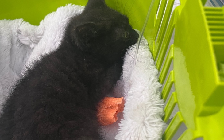 Zbiórka Uratujmy Kruszonka - zdjęcie główne