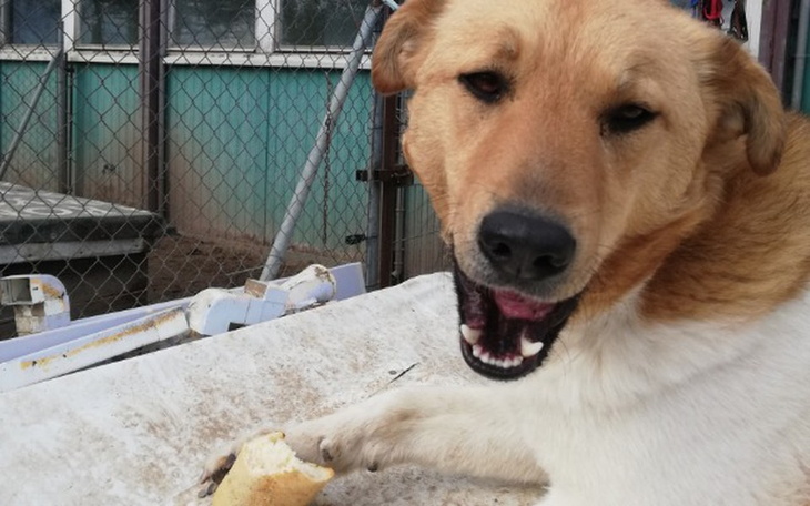 Zbiórka Skarbonka - zdjęcie główne