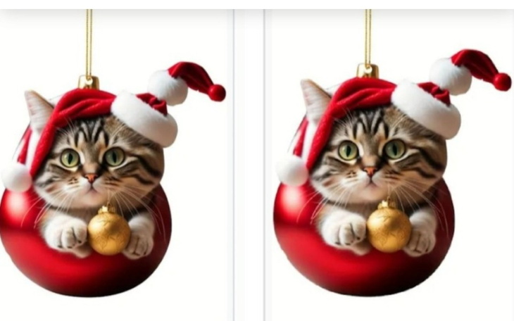 Zbiórka Paczka dla bezdomniaczka 2 - zdjęcie główne