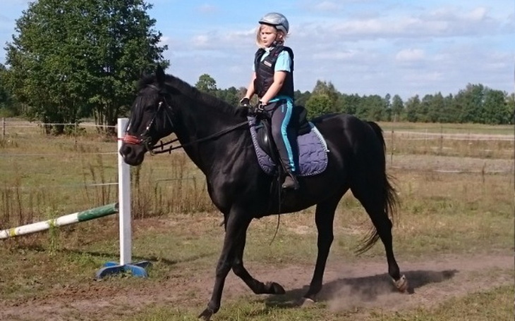 Zbiórka Wakacje z końmi dla dzieci . - zdjęcie główne