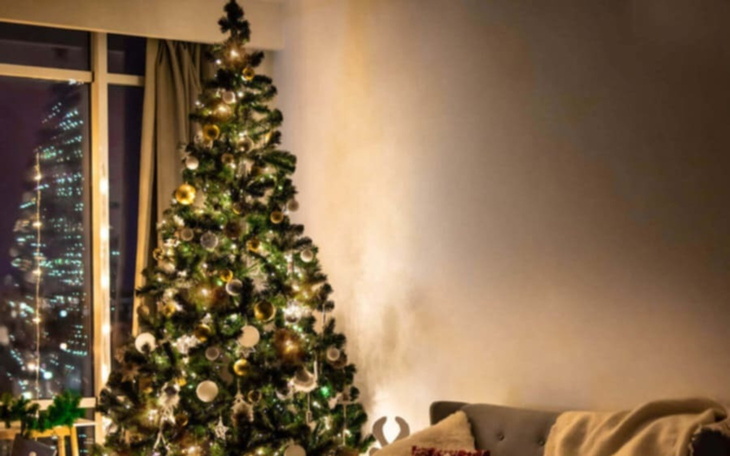 Choinka ozdobiona światełkami w ciemnym pomieszczeniu.